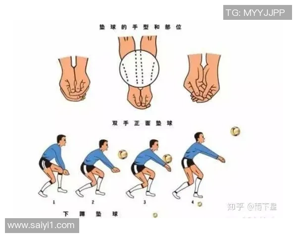 从零基础到高手：全面解析排球团队协作的技巧与策略