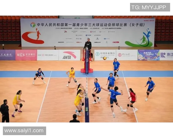 南京排球队的拼搏之路：一段不屈不挠的奋斗纪实与成长故事