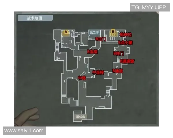 广州排球队区域防守体系解析与战术运用探讨