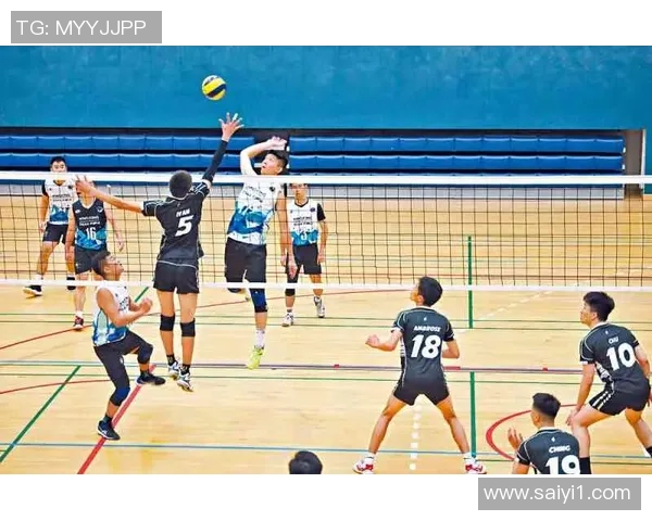 排球灵活性排行榜揭晓北京排球队荣登第九名引发关注