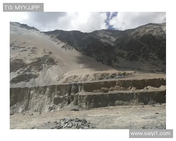 杨芳专访：从CS到CSGO的成长与挑战之路回顾